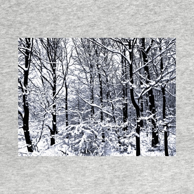 Snow Covered Trees by Nigdaw